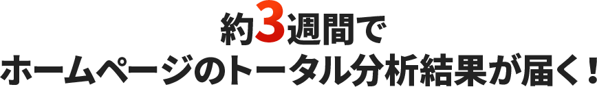 約3週間でホームページのトータル分析結果が届く！